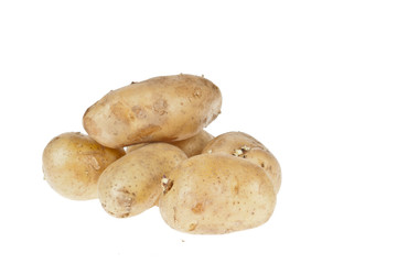 Fresh potatoes on white background