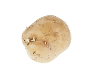 Fototapeta na wymiar Fresh potatoes on white background
