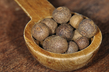 Black pepper (Piper nigrum)