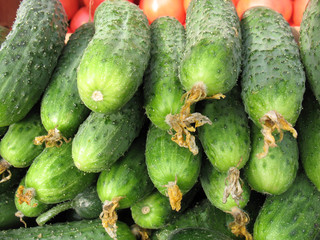 cucumbers for sale