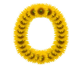 alphabet O, sunflower isolated on white background