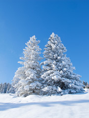 Winter in alps