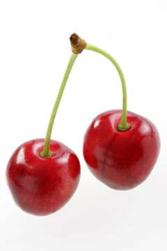 Cerises - "Bigarot rouge"
