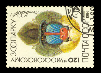 USSR - CIRCA 1984