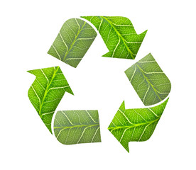 Recycle logo, green concept
