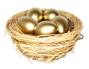 Golden egg in the nest  isolated