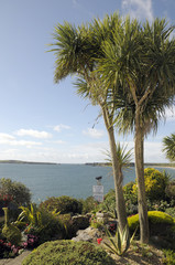 Fototapeta na wymiar Gardens above South Beach at Tenby in Pembrokeshire, South Wales