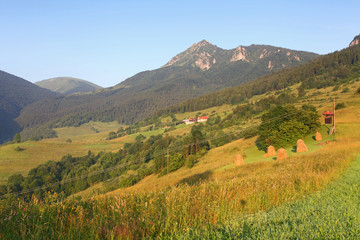 Obraz premium the mountain autumn landscape with colorful forest