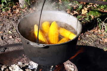 corn cooking © Olha Rohulya
