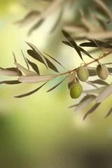 Gordijnen Olives © Subbotina Anna
