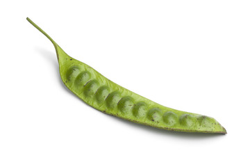 Whole fresh petai bean