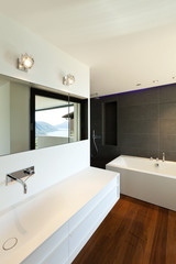 interior apartment, new bathroom, parquet floor