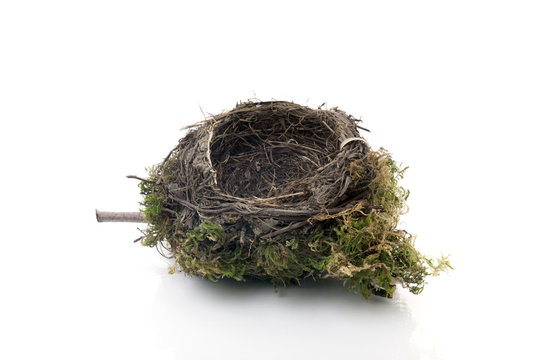 Empty Nest