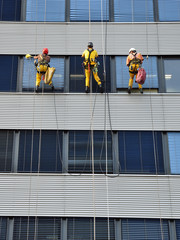 fensterreinigung