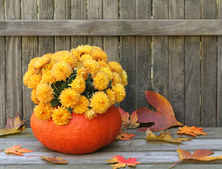 Mums in a Gourd © chas53