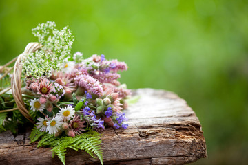 mazzetto di fiori selvatici di montagna