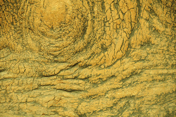 Closeup of wooden texture