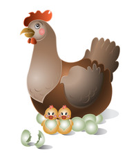 Broody hen with chickens