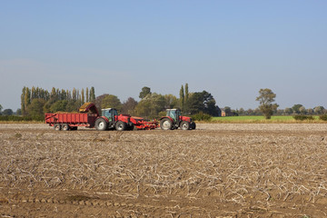 Obraz premium potato harvester 2
