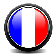 france flag button