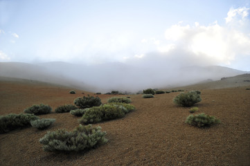 nebelstimmung am el teide auf teneriffa