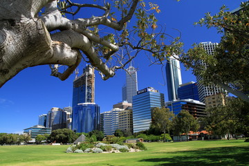 Perth Skyline - obrazy, fototapety, plakaty