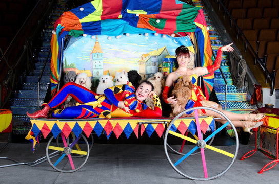 Clown Couple With Dogs. Circus. Performance