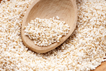 Amaranth popping, gluten-free, high protein grain cereal