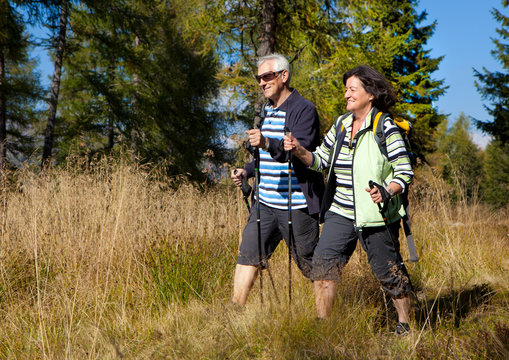 autumn hiking 1