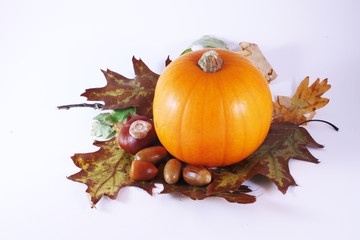 Herbst