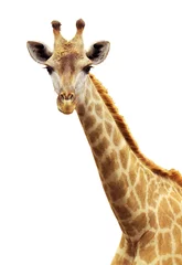 Crédence de cuisine en verre imprimé Girafe Portrait de girafe