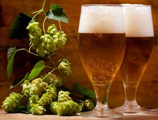 still life with glasses of beer