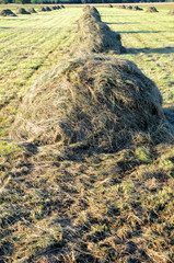 hay stacks, Mazovia region in Poland