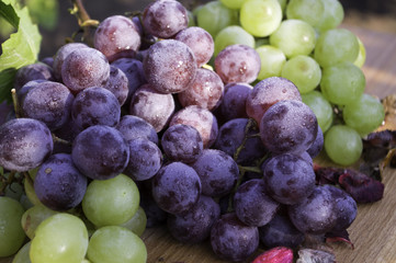 Grapes