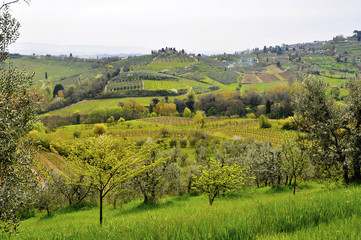 Naklejka premium Tuscany landscape, Italy