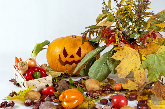 autumn composition of vegetables of leaves and the pumpkin