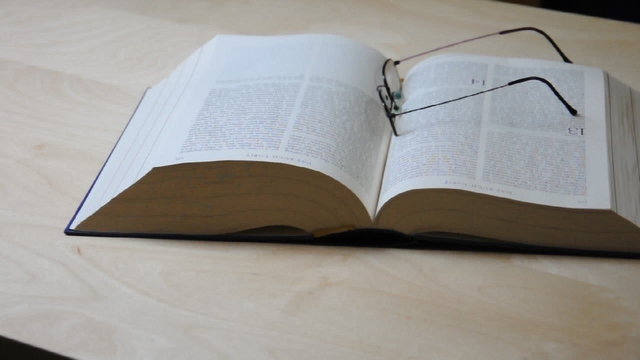 Buch lesen