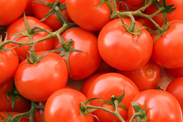 full frame tomato background