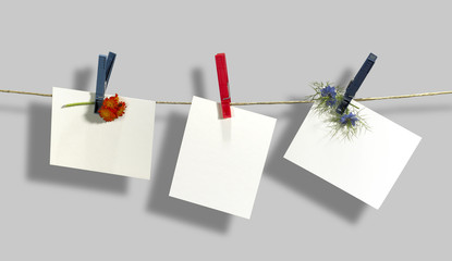 clothesline and labels