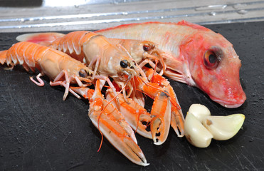 scampi, gallinella e aglio