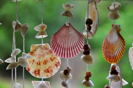Selbstgemachter Muschelvorhang