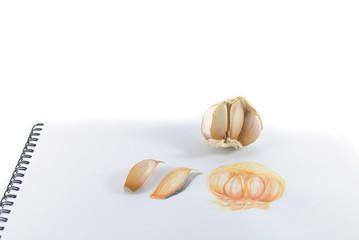 Garlic on notebook