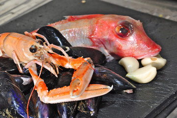 scampo, cozze e gallinella