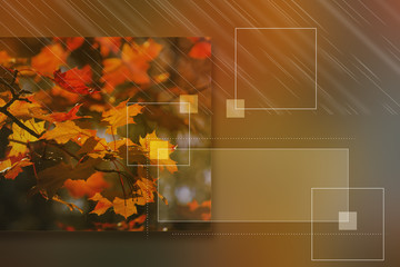 Autumn background