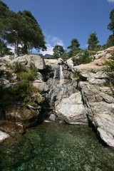 cascade des Anglais,Vizzavona,corse,corte,corsica