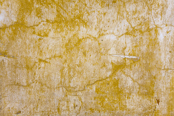 Brown Wall horizontal
