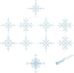 Fototapeta premium Snowflakes