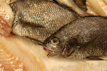 Fischmarkt