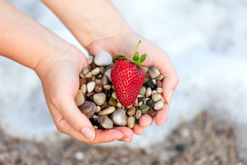 Red ripe strawberry and stones on woman hands