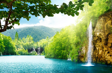 Obraz premium waterfall in deep forest